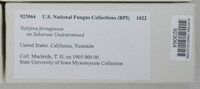 Image Associated With the Occurence